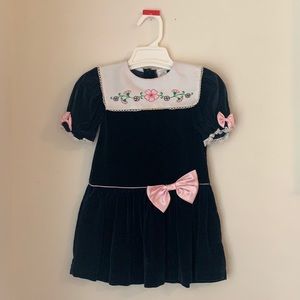 Embroidered collar velvet toddler dress